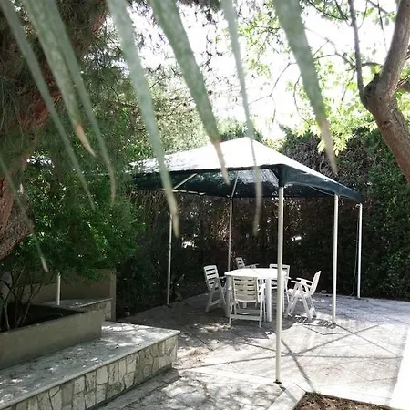 Don Alfonso