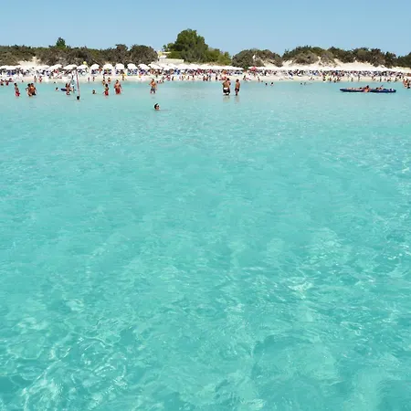Don Alfonso